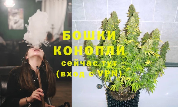 стаф Струнино